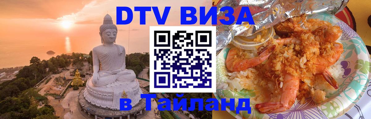 Оформление DTV визы под ключ: стоимость и тарифы, только загранпаспорт - Новочебоксарск  20.11.2025 